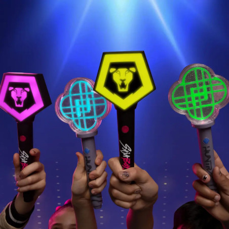 KPOP DH Light Stick sortiert
