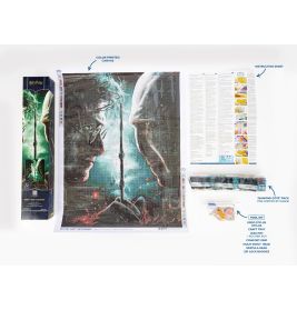 DIAMOND DOTZ Diamond Painting Harry Potter – Dein magisches Meisterwerk