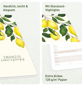 Monatskalender Pocket slim 2027A6 sortiert