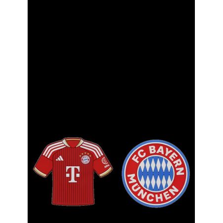 FC Bayern München Magnet 2er Set – Logo & Trikot | Original Fanartikel