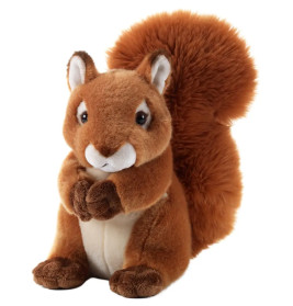 Hazely Brown Squirrel