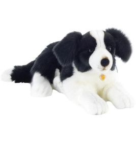 Boronoff Border Collie