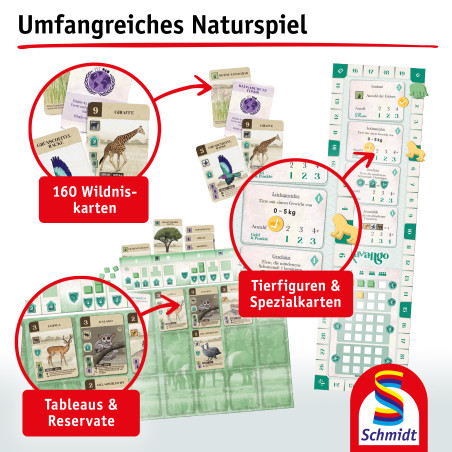 Selecta Kavango – Strategisches Legespiel für 2-4 Spieler ab 8 Jahren | Stammesgebiete erweitern