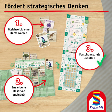 Selecta Kavango – Strategisches Legespiel für 2-4 Spieler ab 8 Jahren | Stammesgebiete erweitern