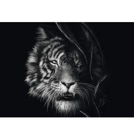 Schmidt Spiele PU1000 T.A. Rader Tiger Wildnis Puzzle 1000 Teile | Schwarz-Weiß