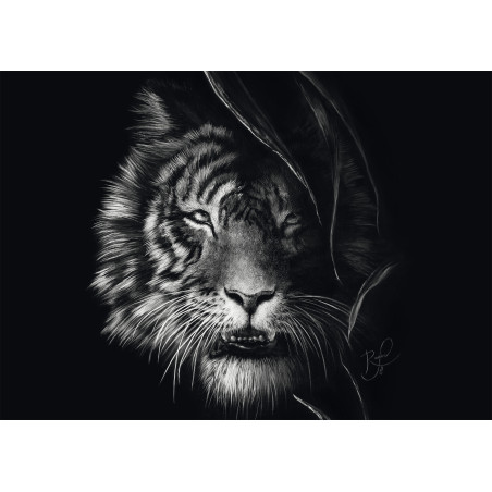 Schmidt Spiele PU1000 T.A. Rader Tiger Wildnis Puzzle 1000 Teile | Schwarz-Weiß