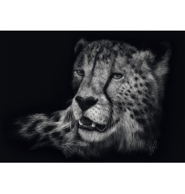 Schmidt Spiele Puzzle 1000 Teile: Gepard Schwarz-Weiß – Schnelligkeit & Anmut | 58542