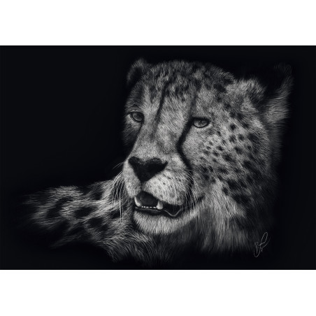 Schmidt Spiele Puzzle 1000 Teile: Gepard Schwarz-Weiß – Schnelligkeit & Anmut | 58542