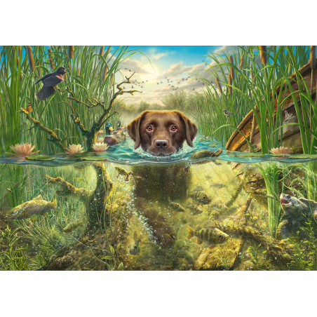 Selecta Puzzle M. Frederickson Hunde 1000 Teile – Faszinierende Szenen