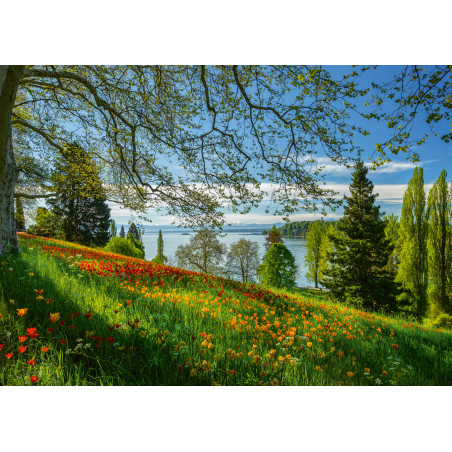 Schmidt Spiele Puzzle 1000 Teile – Frühlingsallee zur Tulpenblüte, Insel Mainau
