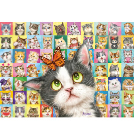 Schmidt Spiele Puzzle Katzen-Mimik 1000 Teile – Detailreiche Katzen-Gesichter