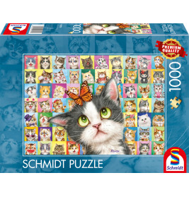 Schmidt Spiele Puzzle Katzen-Mimik 1000 Teile – Detailreiche Katzen-Gesichter