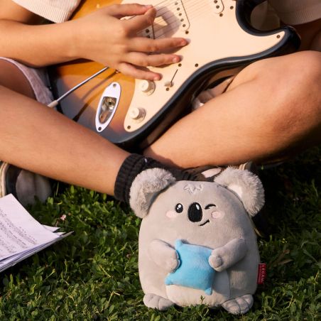 Super Soft! - Plush - Koala