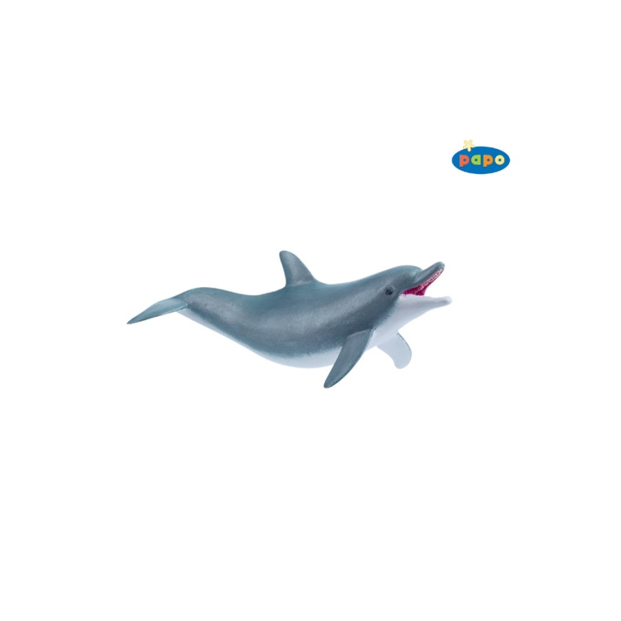 Spielender Delphin