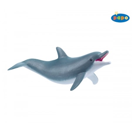 Spielender Delphin