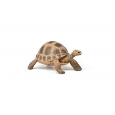 Hermanns Schildkröte