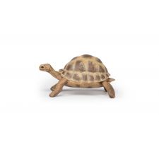 Hermanns Schildkröte