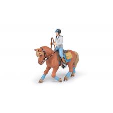 Pferd Des Jungen Reiters