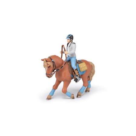 Pferd Des Jungen Reiters