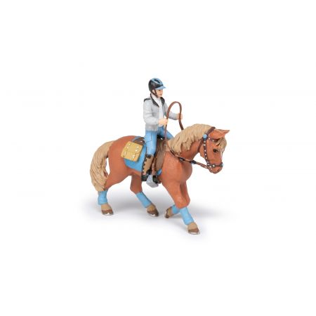 Pferd Des Jungen Reiters