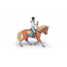 Pferd Des Jungen Reiters