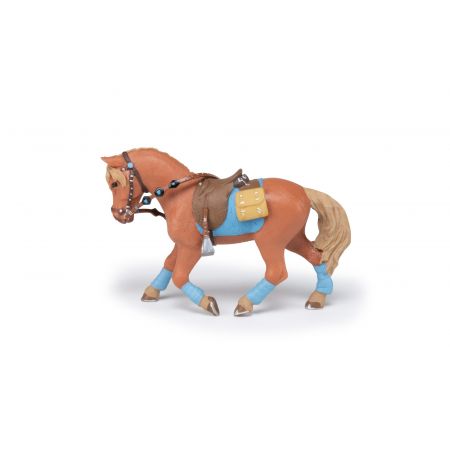 Pferd Des Jungen Reiters