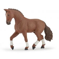 Hannoveraner rotbraun