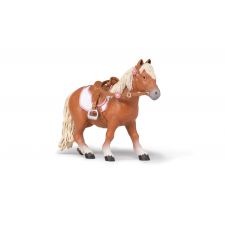 Shetland Pony mit Sattel