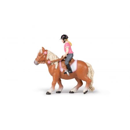 Shetland Pony mit Sattel Shetland Pony mit Sattel