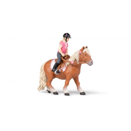Shetland Pony mit Sattel Shetland Pony mit Sattel