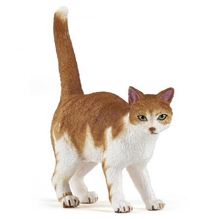Rote Katze