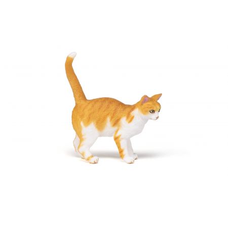 Rote Katze