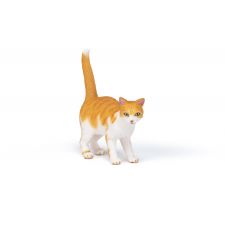Rote Katze