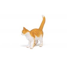 Rote Katze