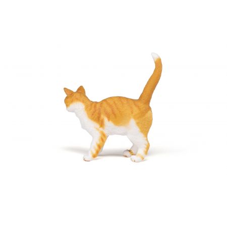 Rote Katze