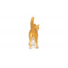 Rote Katze