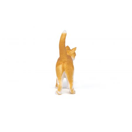 Rote Katze