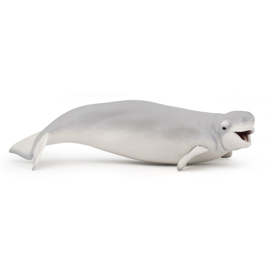 Weisswal