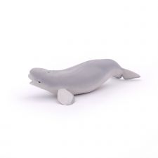 Weisswal