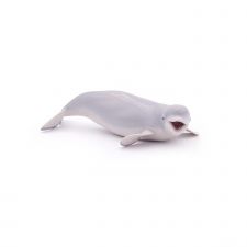 Weisswal