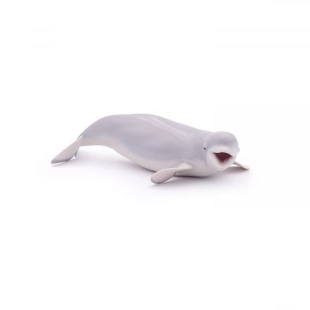 Weisswal