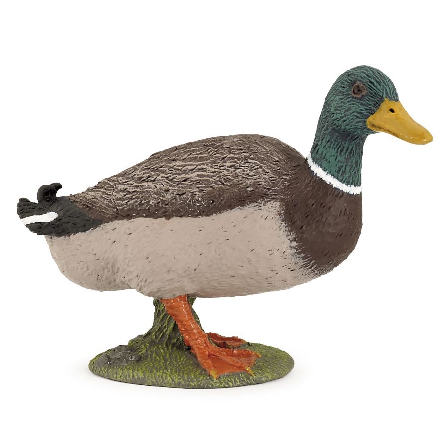 Stockente