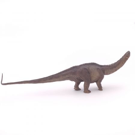 Apatosaurus