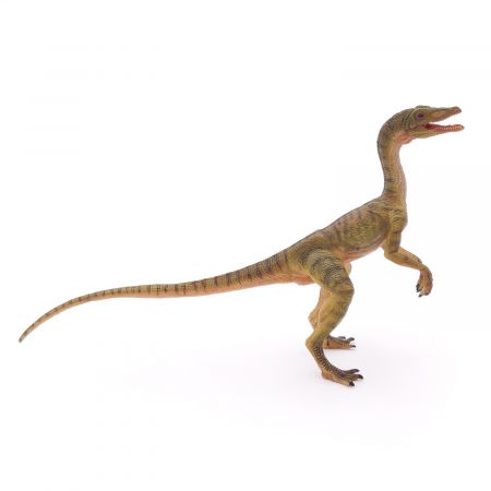 Compsognathus Compsognathus