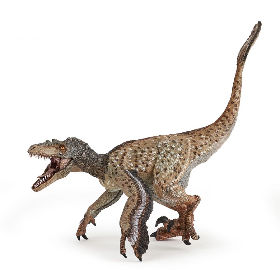 Velociraptor mit Federn