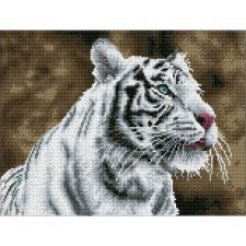 Tiger Blanc Diamond Dotz: 31x 41 cm