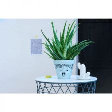 e-750 CR paintmarker gold