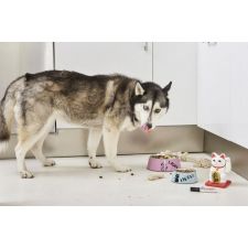 e-500 permanent marker schwarz