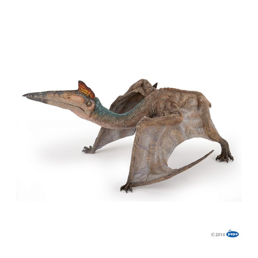 Modell eines Pterosauriers mit langem Schnabel, Kamm und großen Flügeln, auf allen vieren gehend dargestellt. Modell eines Pterosauriers mit langem Schnabel, Kamm und großen Flügeln, auf allen vieren gehend dargestellt.