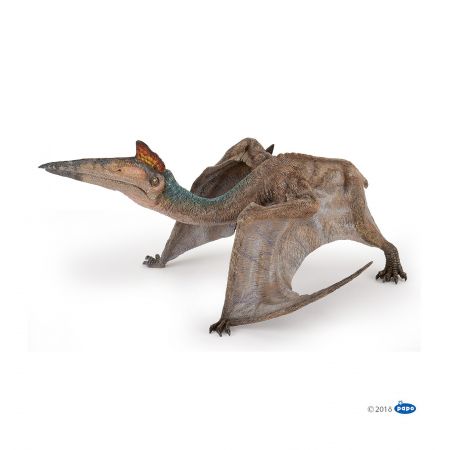 Modell eines Pterosauriers mit langem Schnabel, Kamm und großen Flügeln, auf allen vieren gehend dargestellt. Modell eines Pterosauriers mit langem Schnabel, Kamm und großen Flügeln, auf allen vieren gehend dargestellt.